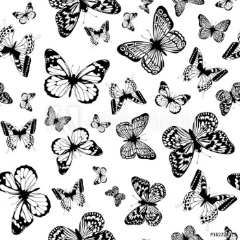 Picture of Monochrome butterfly background